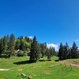 OTO`S CABIN, hotel in Radovljica