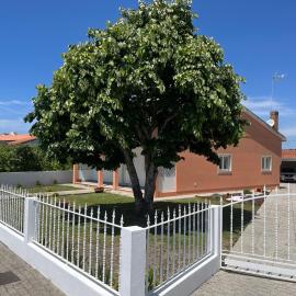 Moradia alegre no centro da Vila da Tocha., hotell sihtkohas Tocha