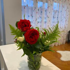 Apartment in the city center, Hotel in Varaždin