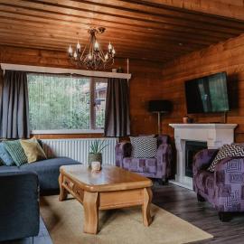 Cosy and Romantic forest house met infrarood sauna op de Veluwe, hotel din Putten