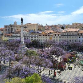 Liberator Rossio