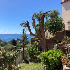 Relax, hotel a Arenzano