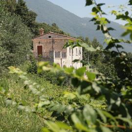 Antico Casolare Ceselenardi, hotel en Faicchio