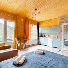 Borjomi Nest, viešbutis Boržomyje