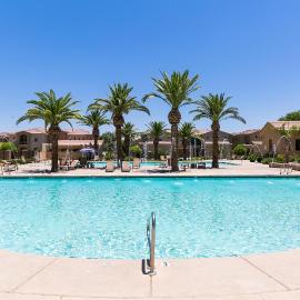 Mesa Palms Ferro