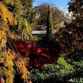 Comfy fully contained 2 bedroom home, hotel in New Town