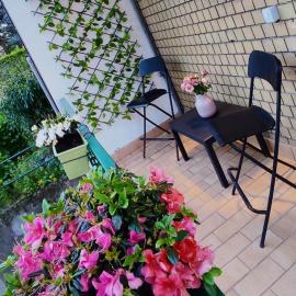 Melody's House