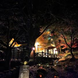 Amrita Lodge -星空に包まれる森の隠れ家- stay & retreat, hotel i Murautsuri