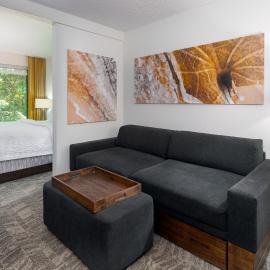 SpringHill Suites Asheville