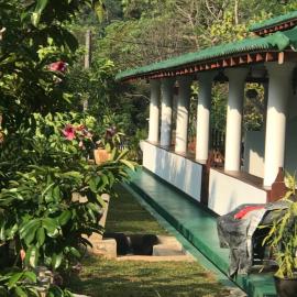 Honeyland hotel, hotell i Naula