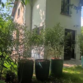 Le petit Ermitage, hotel u gradu Méré