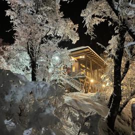 Malga Andina, hotel in Malalcahuello