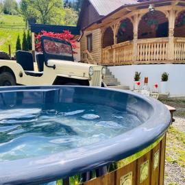 Cabana Elena, hótel í Borşa