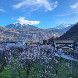 Les Cubes, hotel in Martigny-Ville