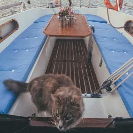 Lady Blue Yacht in Nida, hotel en Nida