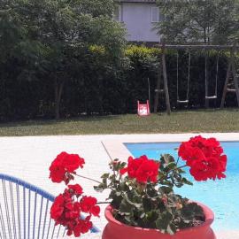 Villa Garden & Pool - Alojamentos, Hotel in Celorico de Basto