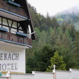 Viesnīca Seebach-Hotel pilsētā Zēbaha