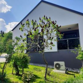 House Under The Maple Tree、Vitanjeのホテル