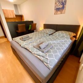 Schafberg nahe Zentrum Einzimmer Ferienwohnung, hotel in Bad Ischl