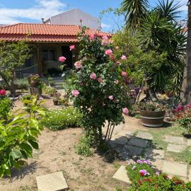 Λευκό γιασεμί, hotel i Kritharia