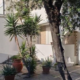 Lecci al Mare, hotel in San Vincenzo