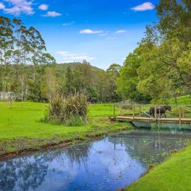 Ponies -Heated Pool-Acreage