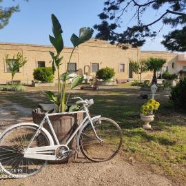 Masseria Don Egidio