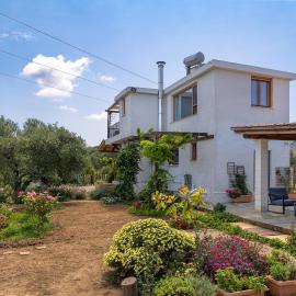 Eliva house
