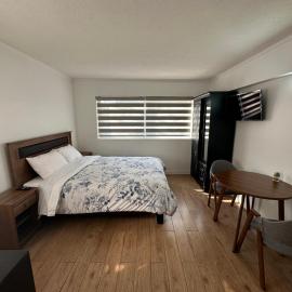 TinyApartments - estudio pleno centro Concepción