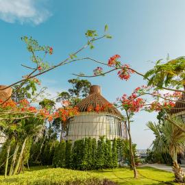 Bird Nest Villas by Mafiya, hotel in Sihanoukville
