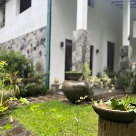Rustic Mahaweli