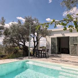 Admonis - Home in the olive grove