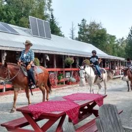 K!cking Mule Guest Ranch, hotelli kohteessa Tehkummah