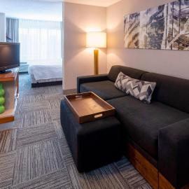SpringHill Suites Rochester Mayo Clinic Area / Saint Marys