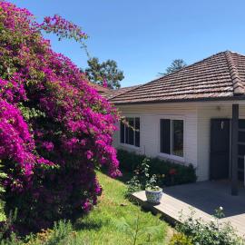 Private room in Marsfield/Macquarie Park/Uni/Eastwood