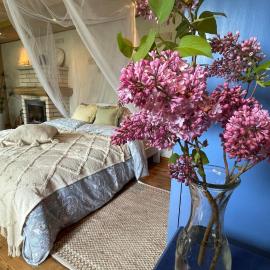 Cosy guesthouse with sauna and outdoor kitchen