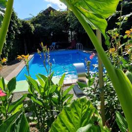 APARTMAN MURKO P-4