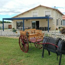 Gîte Charentais avec piscine, terrasse, et pêche - confort moderne et charme rural