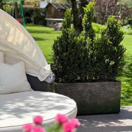 Ameiserhof Guesthouse、コッラルボのホテル