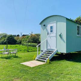 Bells Meadow Shepherds Hut, hotel in King's Lynn