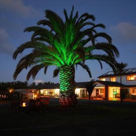 Norfolk Motel & Campervan Park, hotel i Awanui