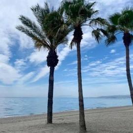 Viajero del Sol El Morche Torrox Costa Málaga