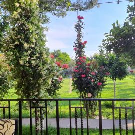 Margjelo Stay - Twin Houses in the Garden