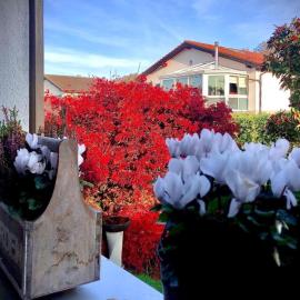 Olympia by the lake, hotel em Lausanne