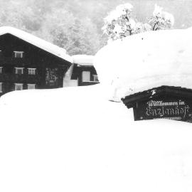 Enzianhof
