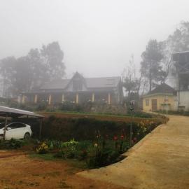 SHADOW MASK BUNGALOW, Hotel in Pattipola