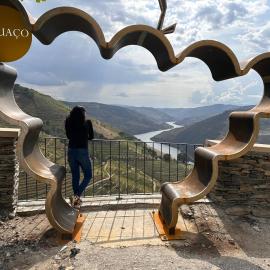 Quinta da Casa Cimeira, Guest House, Wines & Food, hotel en Valença do Douro