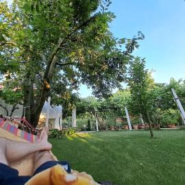 Holidayhome with 100% bio food, hotel in Maliq