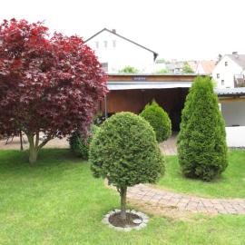 Ferienwohnung in Hameln am Wald, hotel in Hameln