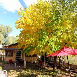 La Pepita, hotel in Ciudad Lujan de Cuyo